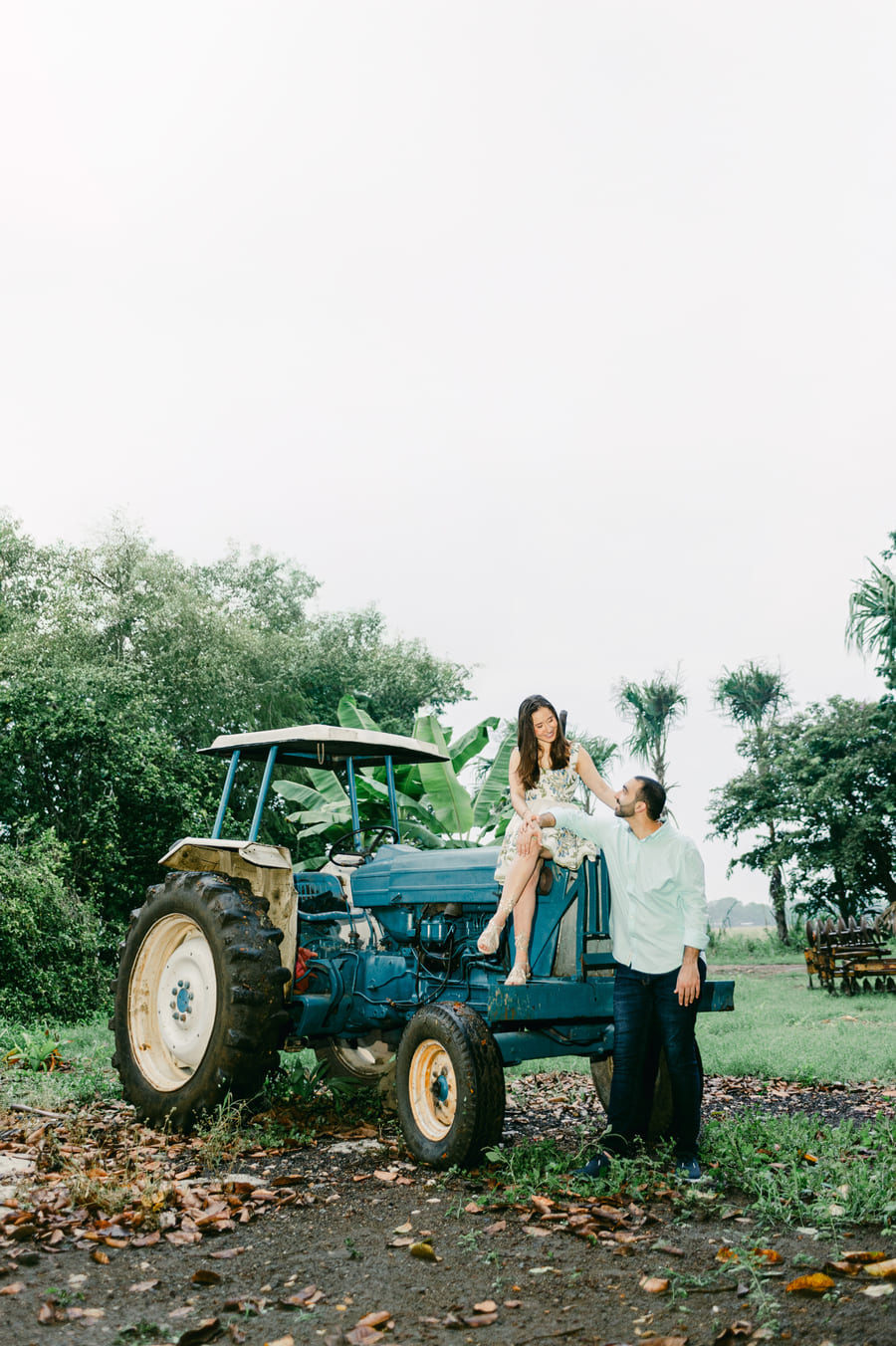 Descripción de la imagen 36